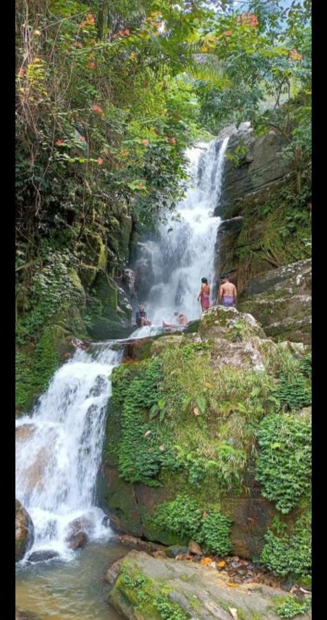 Mscb Guest House Idukki Dış mekan fotoğraf